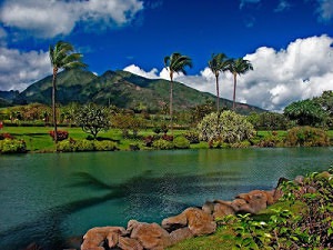 Water view at Maui Tropical Plantation